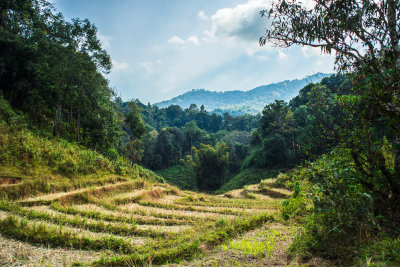 Chiang Mai, Thailand — fine art travel photography print available from Clever Tourists