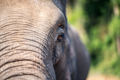 Chiang Mai, Thailand — fine art travel photography print available from Clever Tourists