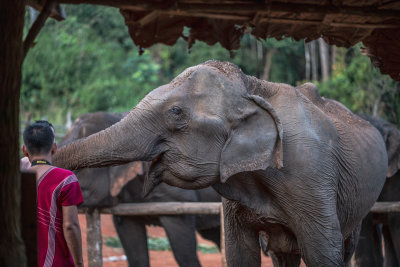 Chiang Mai, Thailand — fine art travel photography print available from Clever Tourists