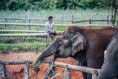 Chiang Mai, Thailand — fine art travel photography print available from Clever Tourists