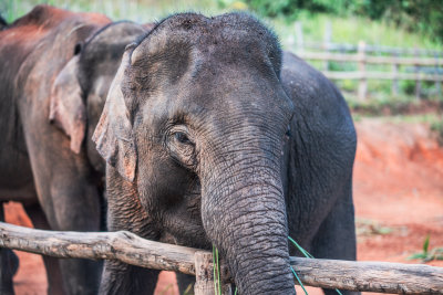 Chiang Mai, Thailand — fine art travel photography print available from Clever Tourists