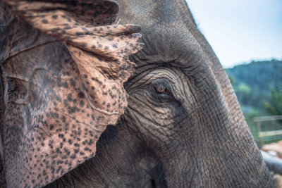 Chiang Mai, Thailand — fine art travel photography print available from Clever Tourists