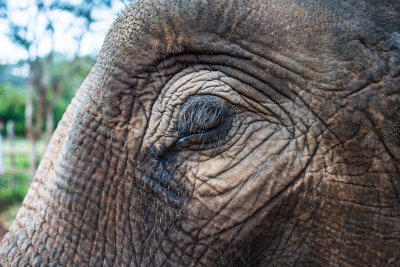 Chiang Mai, Thailand — fine art travel photography print available from Clever Tourists