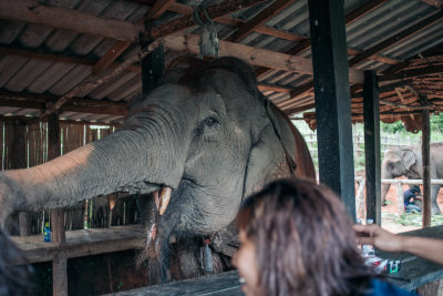 Chiang Mai, Thailand — fine art travel photography print available from Clever Tourists