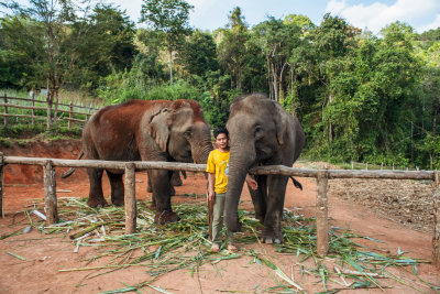 Chiang Mai, Thailand — fine art travel photography print available from Clever Tourists