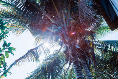 Chiang Mai, Thailand — fine art travel photography print available from Clever Tourists