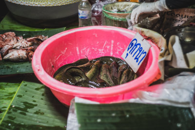 Chiang Rai, Thailand — fine art travel photography print available from Clever Tourists