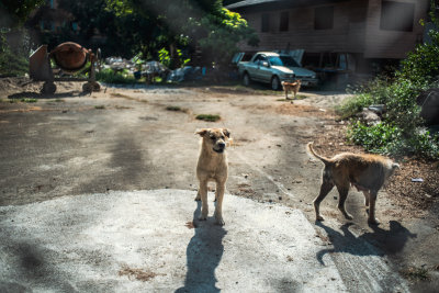 Chiang Rai, Thailand — fine art travel photography print available from Clever Tourists
