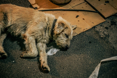 Chiang Rai, Thailand — fine art travel photography print available from Clever Tourists