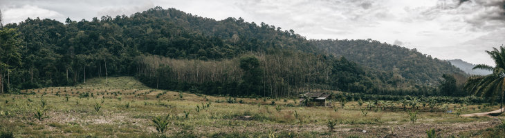 Khao Sok, Thailand — fine art travel photography print available from Clever Tourists