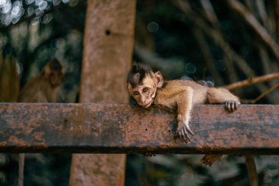 Khao Sok, Thailand — fine art travel photography print available from Clever Tourists
