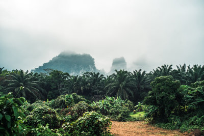 Khao Sok, Thailand — fine art travel photography print available from Clever Tourists