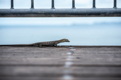 Magnetic Island, Australia — fine art travel photography print available from Clever Tourists