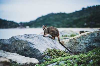 Magnetic Island, Australia — fine art travel photography print available from Clever Tourists