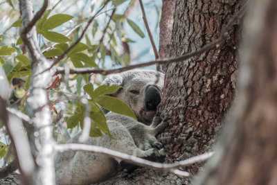 Magnetic Island, Australia — fine art travel photography print available from Clever Tourists