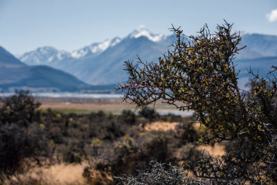 Lake Pukaki, New Zealand — fine art travel photography print available from Clever Tourists