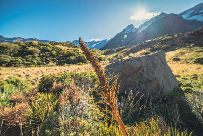 Lake Pukaki, New Zealand — fine art travel photography print available from Clever Tourists