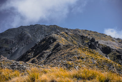 Little River, New Zealand — fine art travel photography print available from Clever Tourists