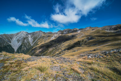 Little River, New Zealand — fine art travel photography print available from Clever Tourists