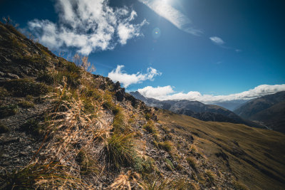 Little River, New Zealand — fine art travel photography print available from Clever Tourists