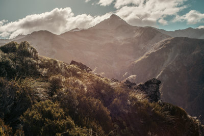 Little River, New Zealand — fine art travel photography print available from Clever Tourists