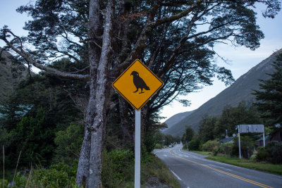 Little River, New Zealand — fine art travel photography print available from Clever Tourists