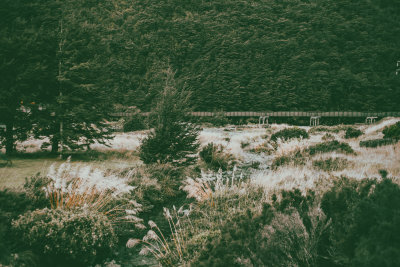 Little River, New Zealand — fine art travel photography print available from Clever Tourists