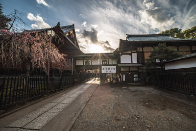 Tokyo, Japan — fine art travel photography print available from Clever Tourists