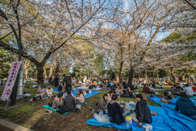 Tokyo, Japan — fine art travel photography print available from Clever Tourists