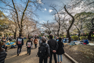 Tokyo, Japan — fine art travel photography print available from Clever Tourists