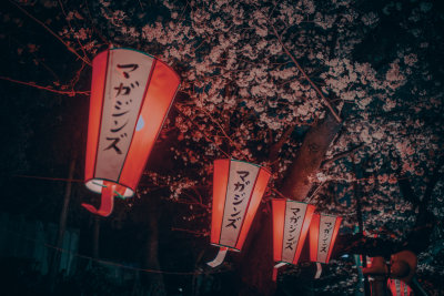 Tokyo, Japan — fine art travel photography print available from Clever Tourists