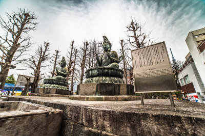 Tokyo, Japan — fine art travel photography print available from Clever Tourists