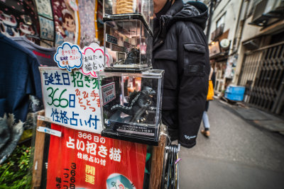 Tokyo, Japan — fine art travel photography print available from Clever Tourists