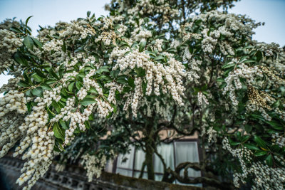 Takayama, Japan — fine art travel photography print available from Clever Tourists