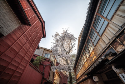 Kanazawa, Japan — fine art travel photography print available from Clever Tourists