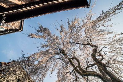 Kanazawa, Japan — fine art travel photography print available from Clever Tourists