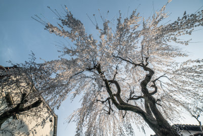 Kanazawa, Japan — fine art travel photography print available from Clever Tourists