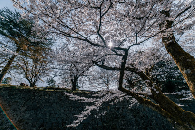 Kanazawa, Japan — fine art travel photography print available from Clever Tourists