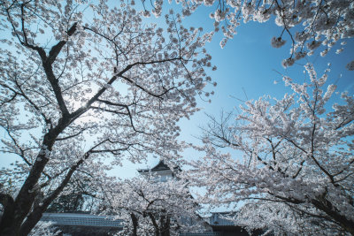 Kanazawa, Japan — fine art travel photography print available from Clever Tourists