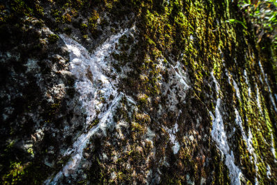 Kanazawa, Japan — fine art travel photography print available from Clever Tourists