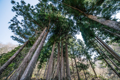 Kanazawa, Japan — fine art travel photography print available from Clever Tourists