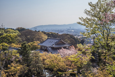 Kyoto, Japan — fine art travel photography print available from Clever Tourists