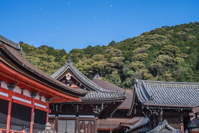 Kyoto, Japan — fine art travel photography print available from Clever Tourists