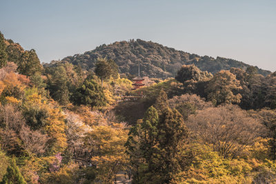 Kyoto, Japan — fine art travel photography print available from Clever Tourists