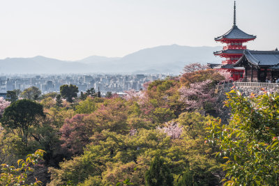 Kyoto, Japan — fine art travel photography print available from Clever Tourists