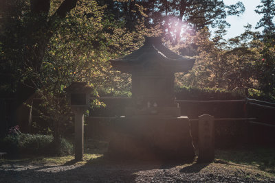 Kyoto, Japan — fine art travel photography print available from Clever Tourists