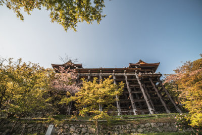 Kyoto, Japan — fine art travel photography print available from Clever Tourists