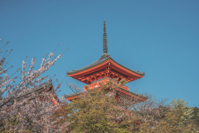 Kyoto, Japan — fine art travel photography print available from Clever Tourists