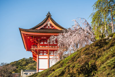 Kyoto, Japan — fine art travel photography print available from Clever Tourists