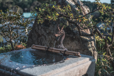 Kyoto, Japan — fine art travel photography print available from Clever Tourists